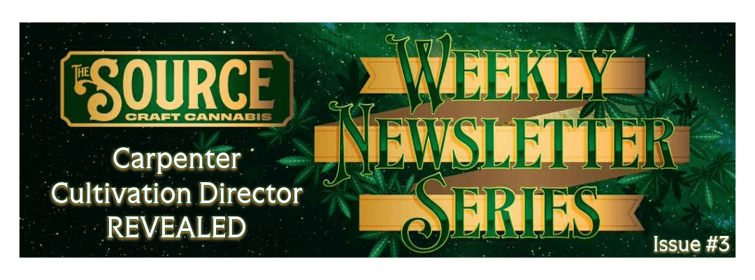 Weekly Newletter Series Issue #3 The Source Craft Cannabis Weekly Newsletter Series Issue #3 header featuring Carpenter Cultivation Director REVEALED Team with green cannabis leaf background and gold banner design