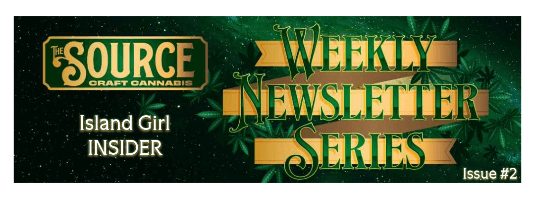 Weekly Newletter Series Issue #2 The Source Craft Cannabis Weekly Newsletter Series Issue #2 header featuring Island Girl INSIDER with green cannabis leaf background and gold banner design.