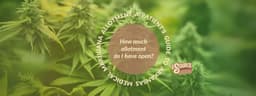 Understanding Your Arkansas Medical Cannabis Allotment: A Patient’s Guide Understanding Your Arkansas Medical Cannabis Allotment: A Patient’s Guide