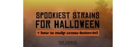 Spooky Strains for the Halloween Season Spooky Strains for the Halloween Season
