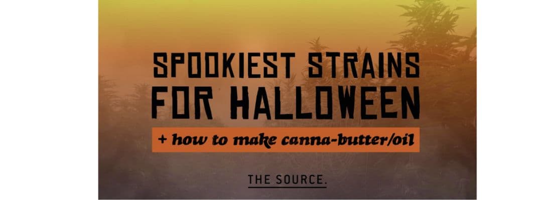 Spooky Strains for the Halloween Season Spooky Strains for the Halloween Season