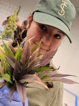 From Cinco de Mayo to Cinco de Mota: A Celebration of Cannabis From Cinco de Mayo to Cinco de Mota: A Celebration of Cannabis