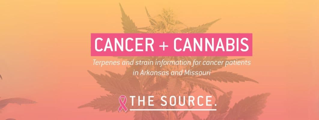 The Healing Properties of Cannabis for Cancer Patients The Healing Properties of Cannabis for Cancer Patients